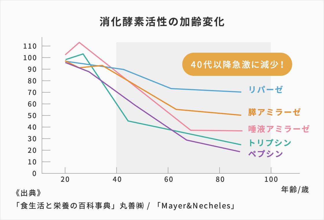 消化酵素活性の加齢変化